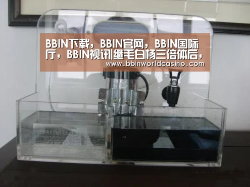 BBIN下载，BBIN官网，BBIN国际厅，BBIN视讯|继毛白杨三倍体后，北京林业大学又获得世界首个桉树三倍体