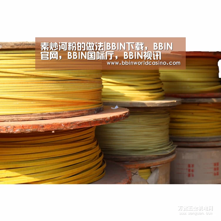 素炒河粉的做法|BBIN下载,BBIN官网,BBIN国际厅,BBIN视讯(图2) BBIN下载,BBIN官网,BBIN国际厅,BBIN视讯